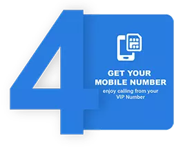 vip number store